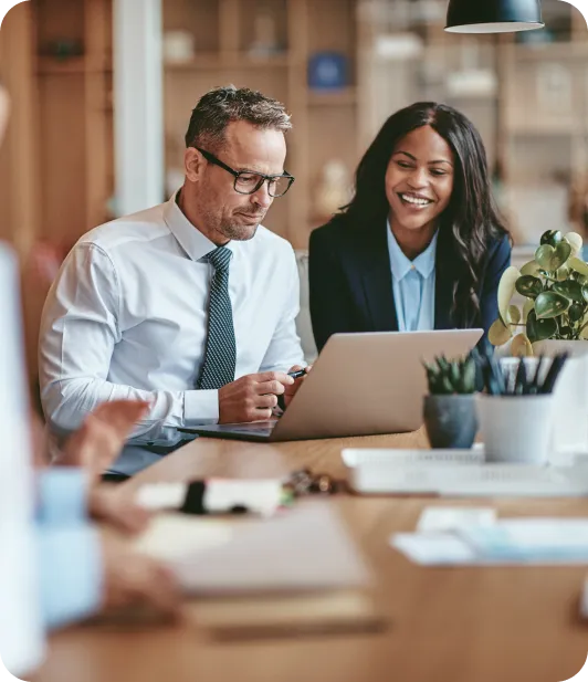 Two business professionals looking at laptop